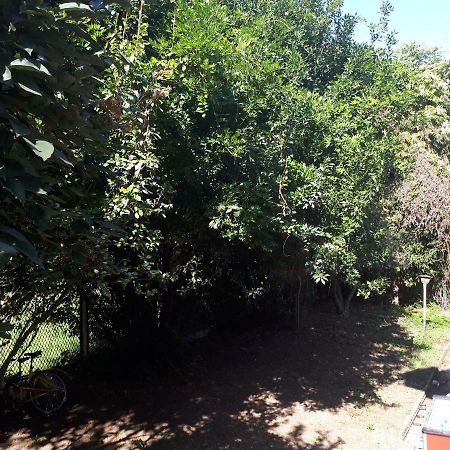 La Casa Di Mango E Pistacchio Hotel Segrate Kültér fotó