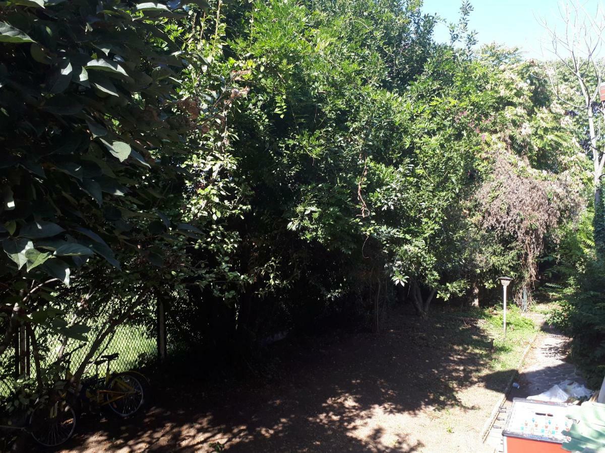 La Casa Di Mango E Pistacchio Hotel Segrate Kültér fotó